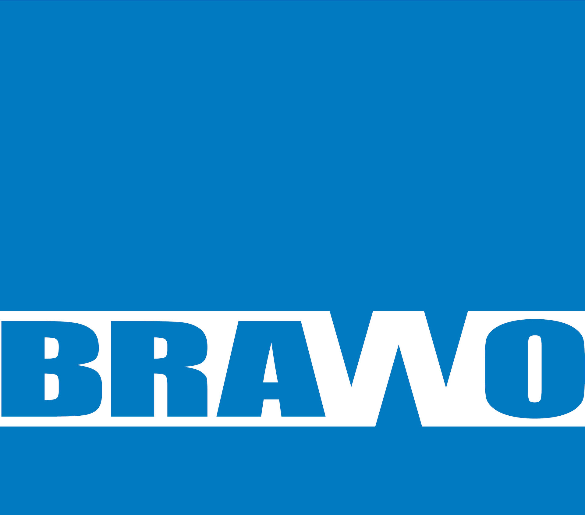 Logo BRAWO SPA