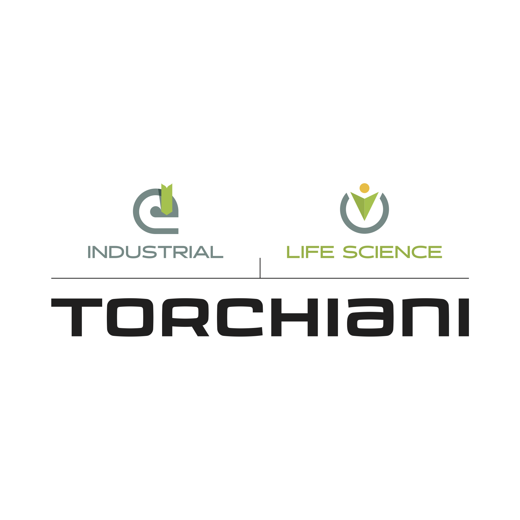Logo TORCHIANI